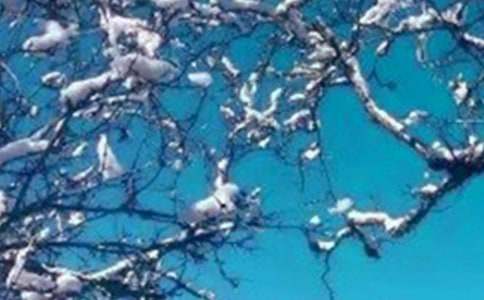 ����ѡ�����ж����������ƪ