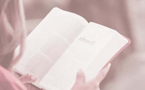 世界读书日读书心得