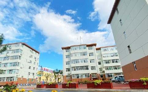 �����н鹤���ܽᣨ��ѡ13ƪ��