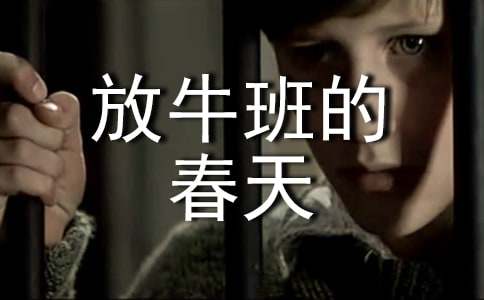 ��ţ��Ĵ���ۺ�С�����