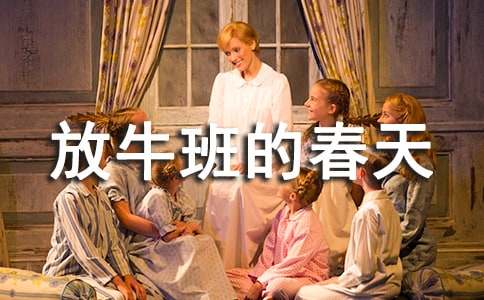 ��ţ��Ĵ���ۺ�С���ѡ��