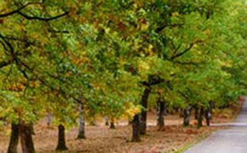 �羰��߶��ó�������