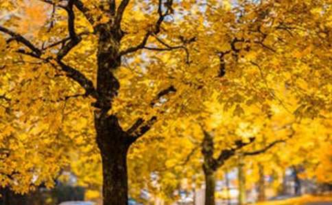 ����ѡ�����з羰���Ļ��7ƪ