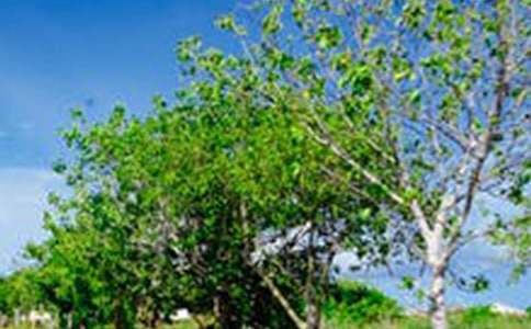 ����ѡ�����з羰���Ľ�����ƪ