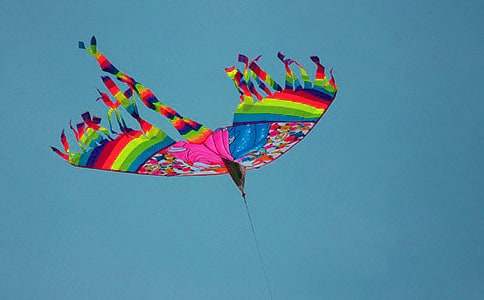 ֽ���ͷ��ݽ�ѧ��˼���ģ���ѡ5ƪ��