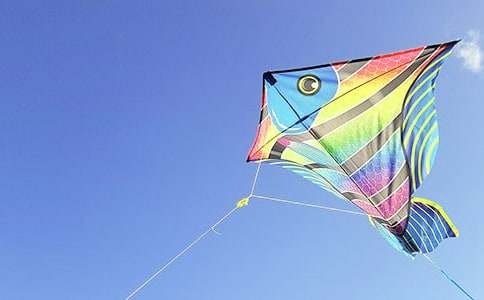 ��ʵ�á��ŷ����ռ���ƪ