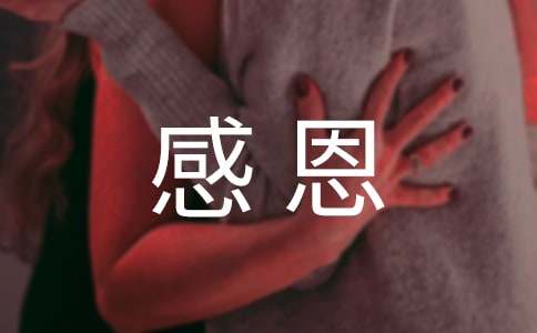 �ж��ĵ���ѡ