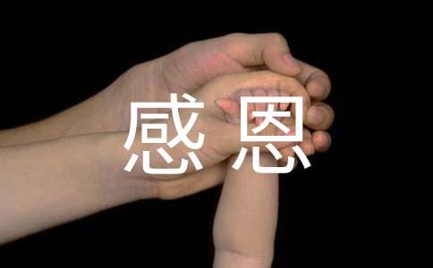 �ж������