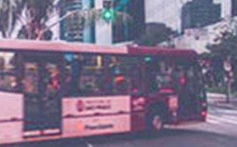 ����������Сѧ����