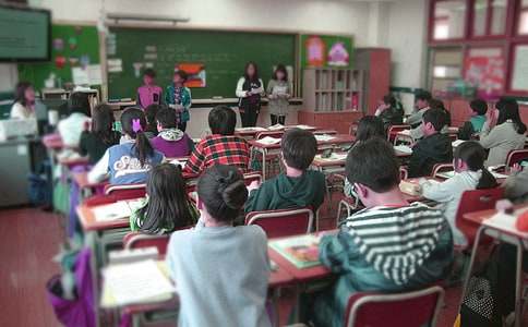 ��Сѧ���������ιۺ��13ƪ