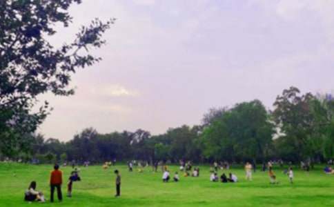 ��԰д�����Ľ���ʮƪ