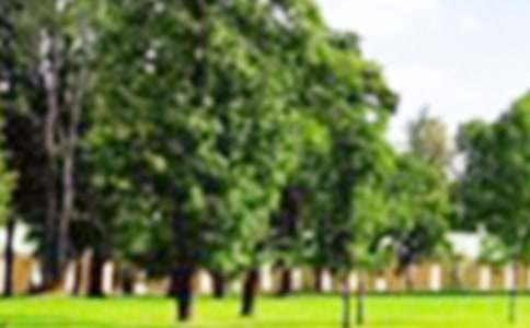 ��ѡ��԰д������ʮƪ