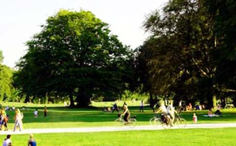 ��԰�����ռ�15ƪ