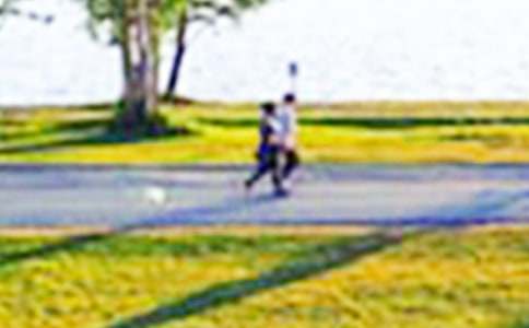 ��԰д������(15ƪ)