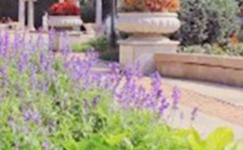 ��԰����ռ�ģ�����6ƪ