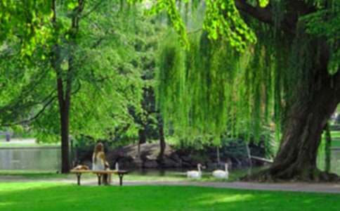 (��)д����԰����