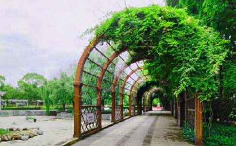 ����Ʒ����԰д������300�ֻ���8ƪ