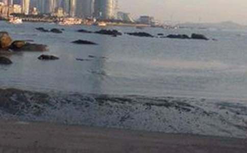 �������д��������ƪ