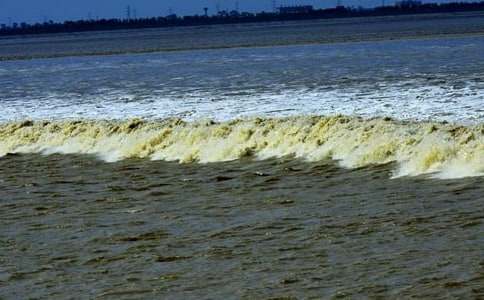 �����۳����иУ�ͨ��17ƪ��