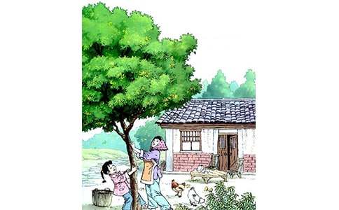 �����꡷��ѧ��˼��ͨ�ã�