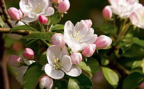 [����]���㺣�Ĺۺ��15ƪ