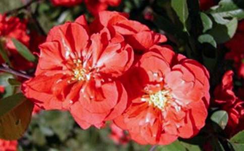 �����㺣�ġ��ۺ��(ͨ��15ƪ)