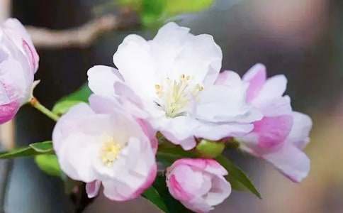 �ۡ����㺣�ġ��и�10ƪ