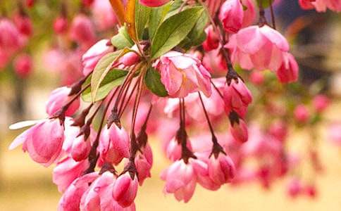 ���㺣�Ĺۺ��