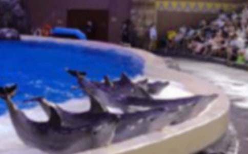 ��ɫ�ĺ��ൺ�����(����15ƪ)