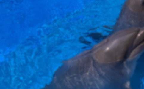 ���λغ��ൺ�������