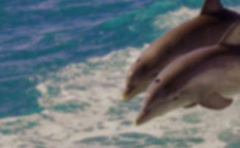 �������塷�ۺ��