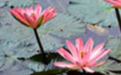 ���ɻ�������ѧ��˼