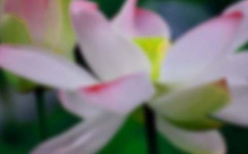 ���ɻ��������