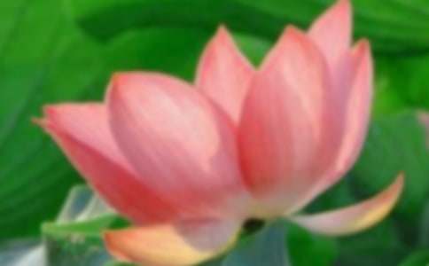 �ɻ�д������