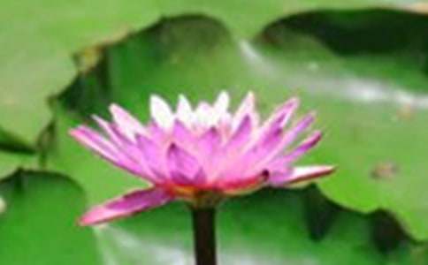 �ɻ���ѧ��˼