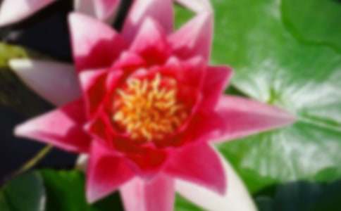 [�Ƽ�]���ɻ�����ѧ��˼