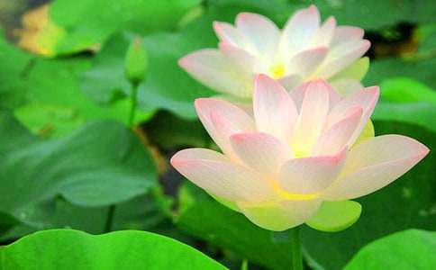 �ɻ�����ѧ��˼15ƪ