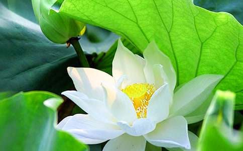 ���ɻ����ڶ���ʱ��ѧ��˼700�֣���ѡ7ƪ��