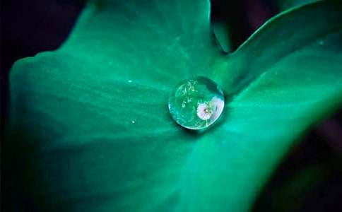 ��ҶԲԲ��ѧ��˼