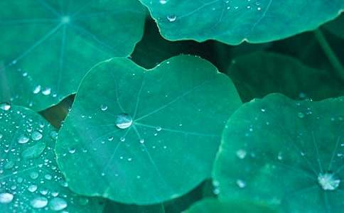 ����ҶԲԲ����ѧ��˼[����]