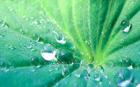 ����ҶԲԲ����ѧ��˼���ģ���ѡ6ƪ��