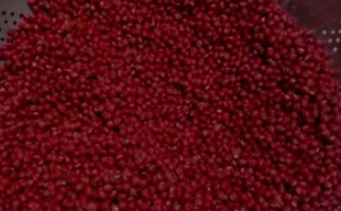 《红豆曲》读后感