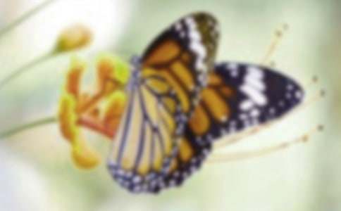 �������������