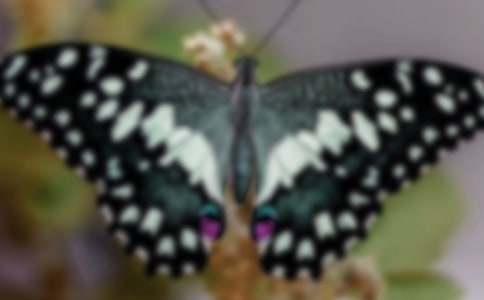 �а�����̰�����ѧ��˼����ֽ������