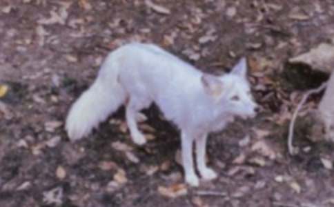 ���˲���ĺ���ְ֡�����У���ѡ27ƪ��