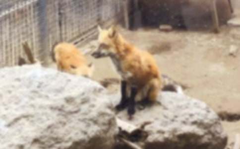 �˲���ĺ���ְֶ���У���ѡ37ƪ��