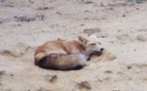 ���˲���ĺ���ְ֡������(����15ƪ)