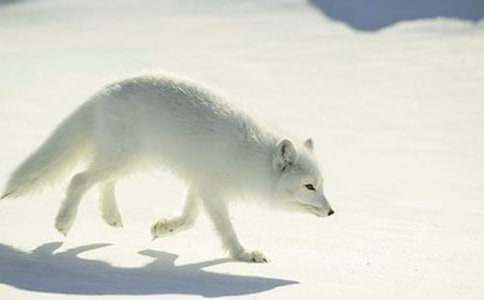 �����˲���ĺ���ְ֡��и�(����15ƪ)