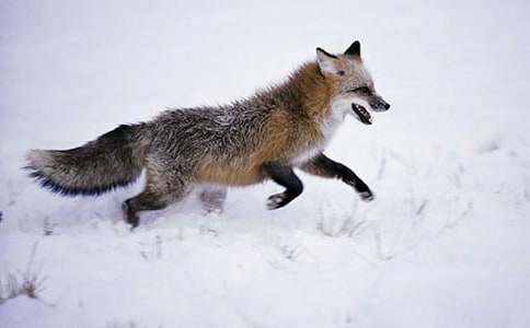 ���������ѻ��˵�θ�(����10ƪ)