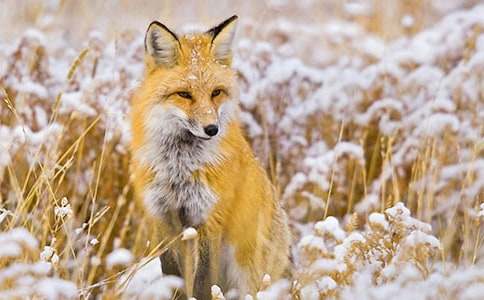 �˲���ĺ���ְֶ���С����㡿